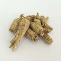 60粒原尾泡參 (每兩)